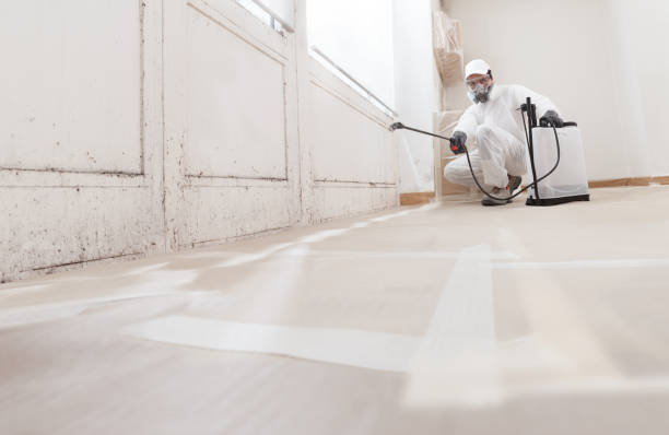 24/7 Emergency Mold Cleanup experts in Pineville, PA