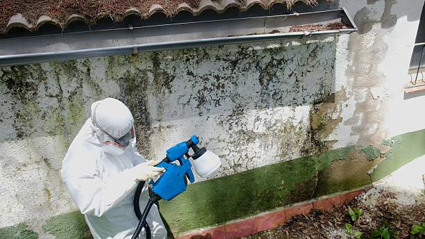 Top rated local Mold Cleanup specialists in Pineville, PA